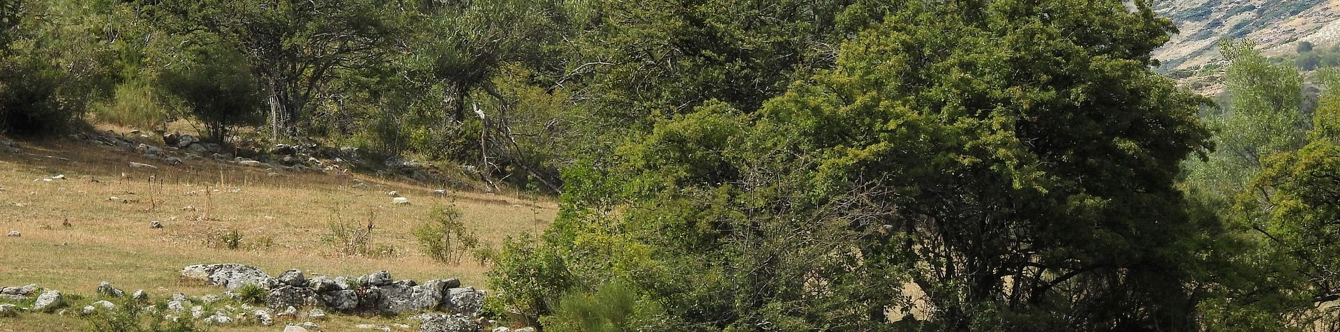 Renedo de la Inera Renedo de la Inera