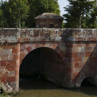 Canal de Castilla a su paso por Herrera de Pisuerga