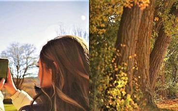 UN PUENTE, MIL PLANES "PALENCIA DESTINO DE OTOÑO"