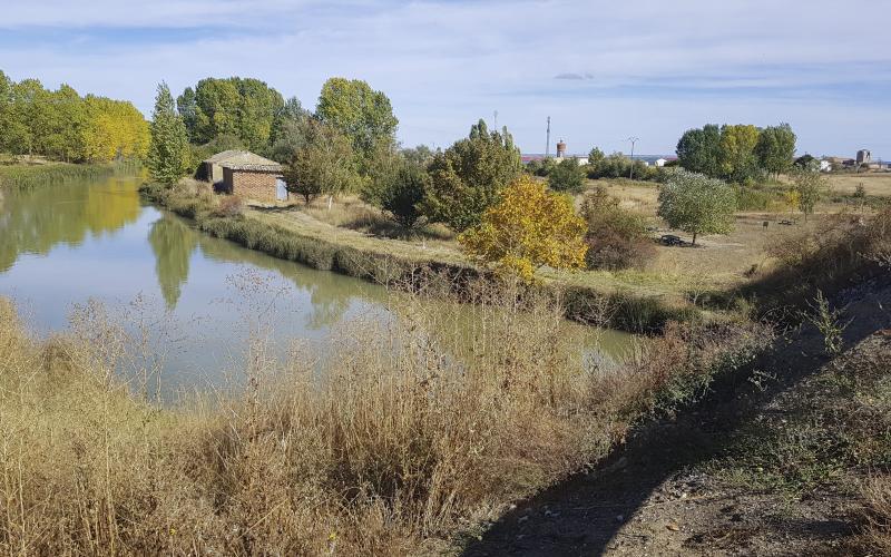 Panorámica del Canal de Castilla a su paso por Fuentes de Nava