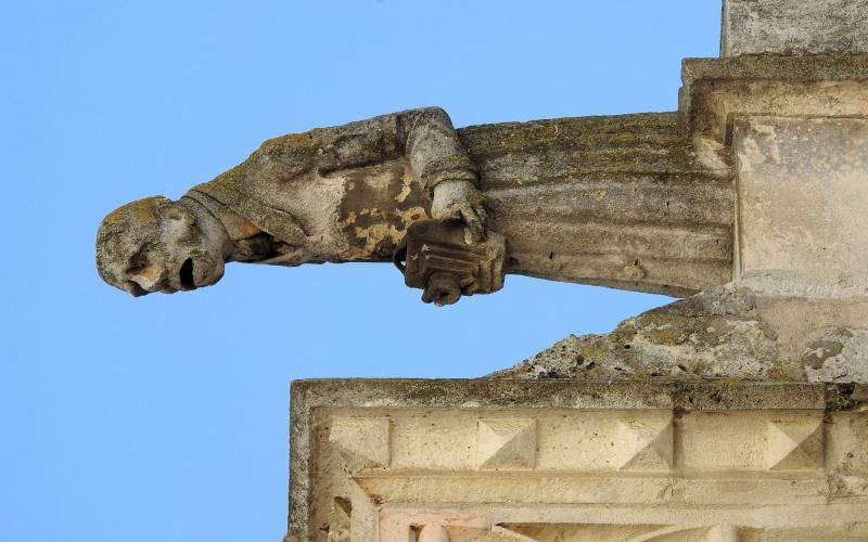 Gárgola del fotógrafo de la catedral de Palencia