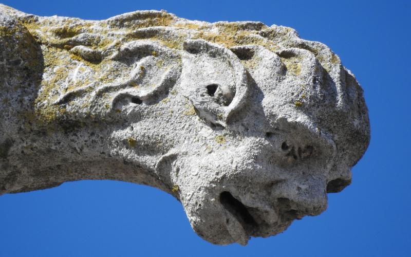 Detalle de la cabeza de una gárgola de la catedral de Palencia